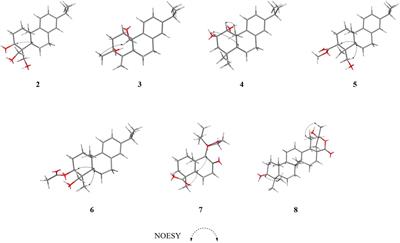 Abietane-Type Diterpenoids From Nepeta bracteata Benth. and Their Anti-Inflammatory Activity